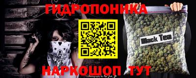 гашик Нягань