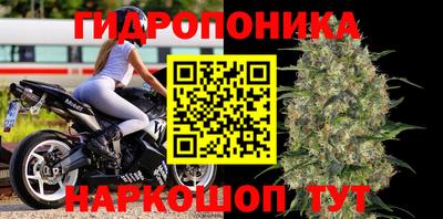 винт Обнинск