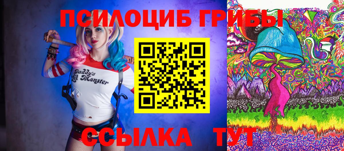 Галлюциногенные грибы прущие грибы Тавда